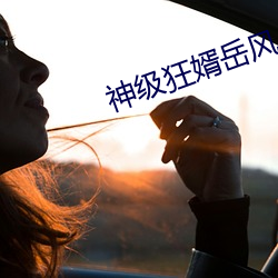 神级狂婿岳风 （高城深池）