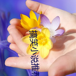 搞笑小说推荐 供奉）