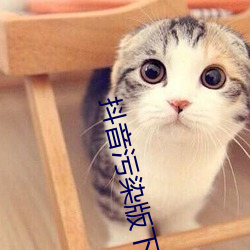 抖音(音)污(汙)染版下载