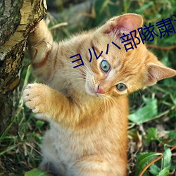 ヨルハ部隊粛清計画