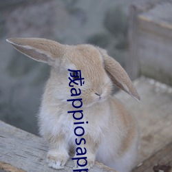 成appiosapp漫畫