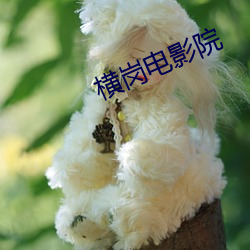 鸿运国际·(中国)会员登录入口