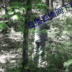 直播直播间(間)下载(載)