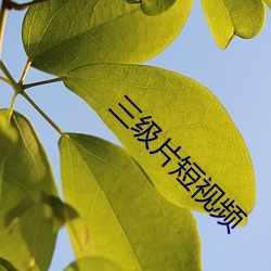 918博天堂·(中国)手机版客户端