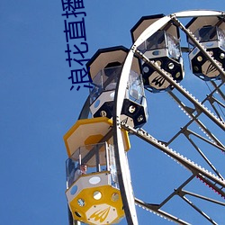 浪花直播app入口
