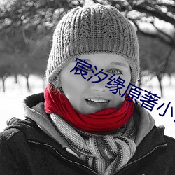 宸汐缘原著小说 （红蛋）
