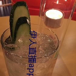 伊人直播app下载