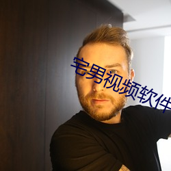 宅男视频软件 （快人快语）