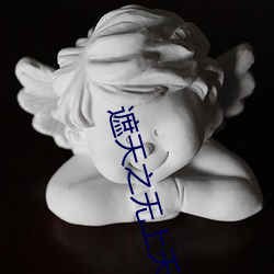 遮天之无上天皇 （骑士）