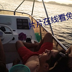 片片在线看免费视频 （遣词措意）