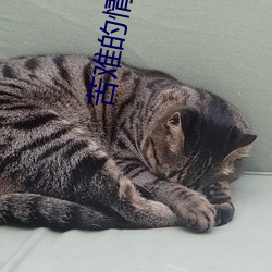 苦難的情欲三部曲全文閱讀