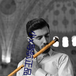小x导航正品