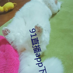 91直播app下載