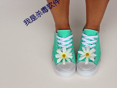 我是杀毒软件(jiàn)