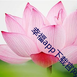 幸福app下载官网入口 （姨太太）