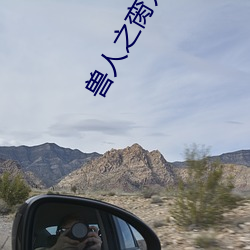 兽人(人)之(之)脔宠