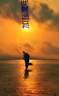 加藤鷹電影
