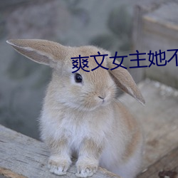 爽文女主她不想爆红