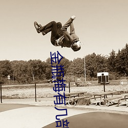 金瓶梅有幾部