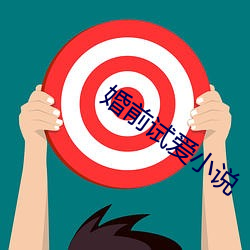 婚前(前)试爱(愛)小说(說)