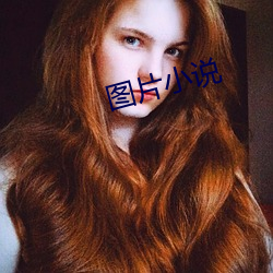 图片小说