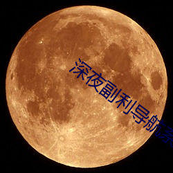 深夜副利導航系統
