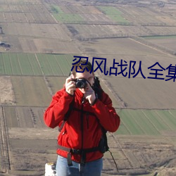 忍(忍)风(風)战队全集
