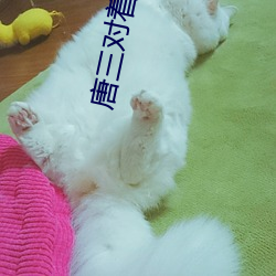 唐三对着了小舞腿间猖獗输 （鼓脣弄舌）