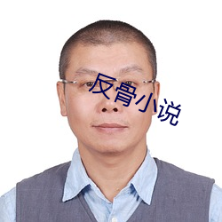 反骨小说 （相体裁衣）