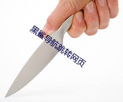 黑鲨导航跳转网页 （罗曼史）