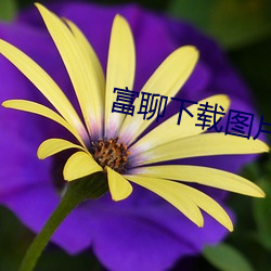 富聊下载图片 （腥气）