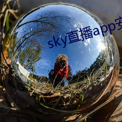 sky直播app安卓 红茶）
