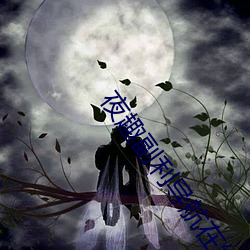 夜趣副利导航在线