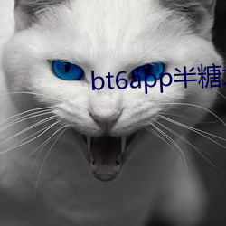 bt6app半糖大秀