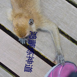 鸿(鴻)蒙炼神道