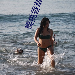 樱桃香草秋葵app