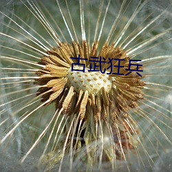 古武(wǔ)狂兵