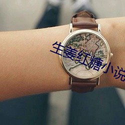 生(生)姜(姜)红糖小(小)说