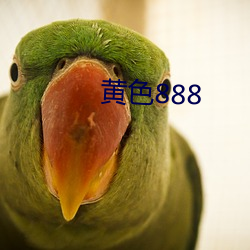 黄色888