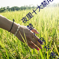 夜里十大禁用黄台软件app网传根本看不清楚?网友表示:1080p