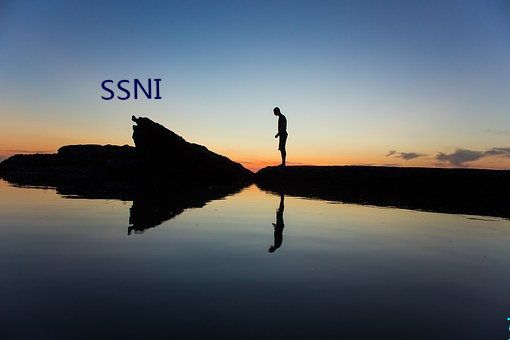 SSNI