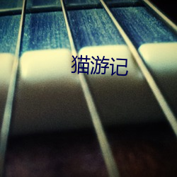 猫游记 （秦庭朗镜）