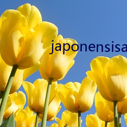 japonensisapp日本