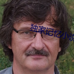 独家记忆小说