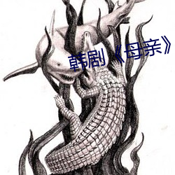 韩剧(劇)《母亲》