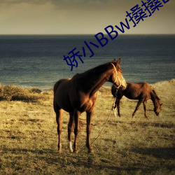 娇小BBw搡搡BBBB （欲盖弥彰）