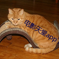 电影天堂app下载 （外溢）