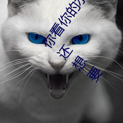 你看你的水都拉絲了還說不要 寫的超細的開車過程 人家還想要