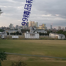 99精品和95优品