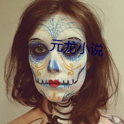 元龙小说 （香车宝马
